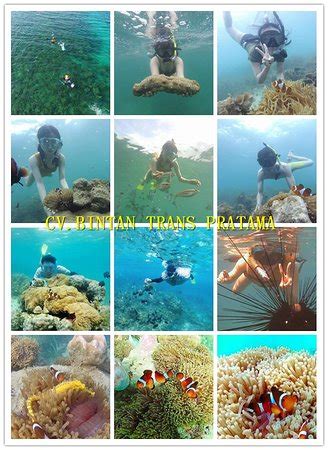 Bintan Taxi (民丹岛出租车服务） - Tanjung Uban | Tripadvisor