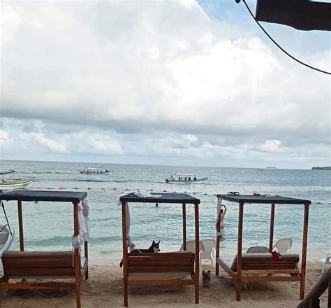 MAR DE ORO TOURS (2026) All You Need to Know BEFORE You Go (with Photos ...