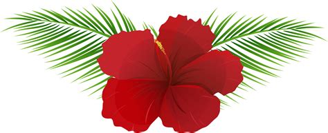 Free Hawaiian Flowers Transparent, Download Free Hawaiian Flowers ...