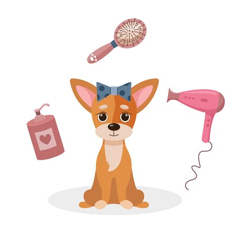 Dog pet grooming. Cartoon design. Dog care concept. Cute red dog enjoys ...