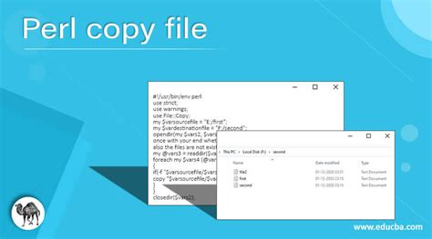 Image result for Perl Read File