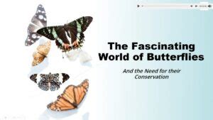 Image result for Adding Sound to PowerPoint