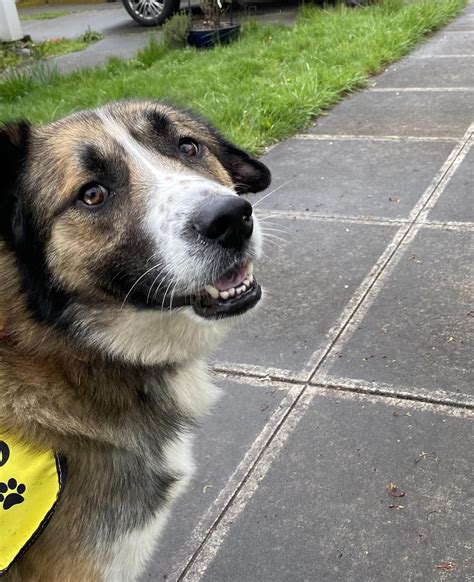 David Walker Porltand State