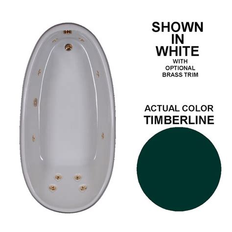 Watertech Whirlpool Baths Designer 36-in x 72-in Timberline Acrylic ...