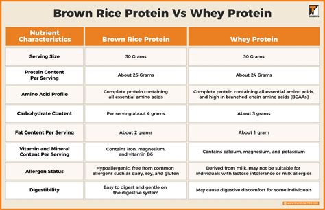 7 Benefits of Brown Rice Protein Powder | Titan Biotech Ltd.