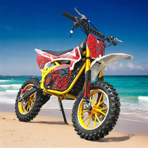 PATOYS | 24V/350W Pro Fighter Electric Dirt Bike | Disc Brake | Key ...