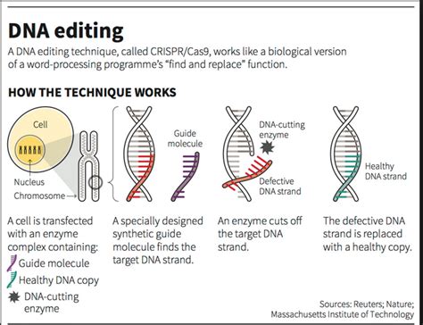 CRISPR Technology Explained 的图像结果