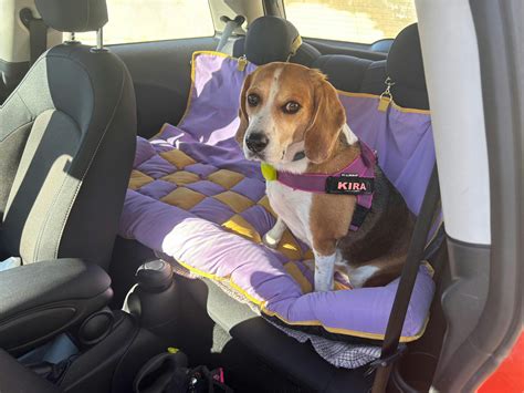 Travel Bolster Safety Back Seat Large Dog Car Seat Bed - Chessboard Lounge - FunnyFuzzy