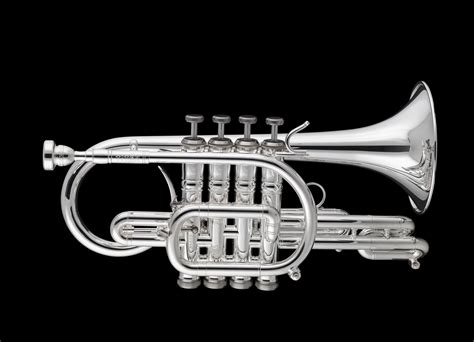 Image result for Cornet Musical Instrument