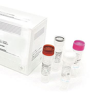 Image result for Molecular Biology Lab Kit