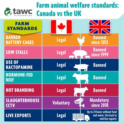 Brits Concerned by Canada’s Lagging Animal Welfare Standards - Animal ...