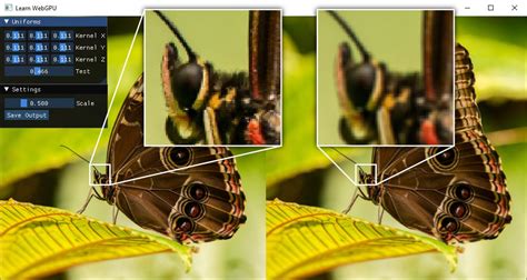 Convolution Filter in Image Processing 的图像结果