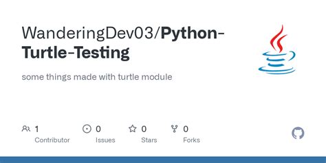 How to Write N in Python Turtle Module 的图像结果