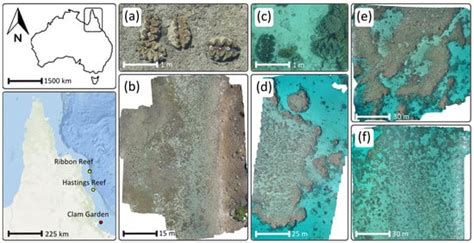 Using YOLOv5, SAHI, and GIS with Drone Mapping to Detect Giant Clams on ...