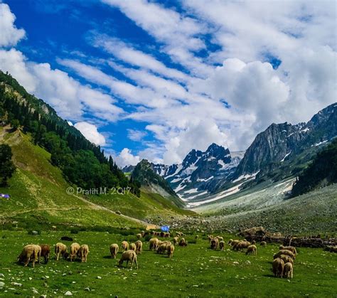 THAJIWAS GLACIER SONAMARG - All You Need to Know BEFORE You Go 2026 ...