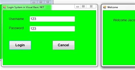 Image result for Visual Basic Code About Log In