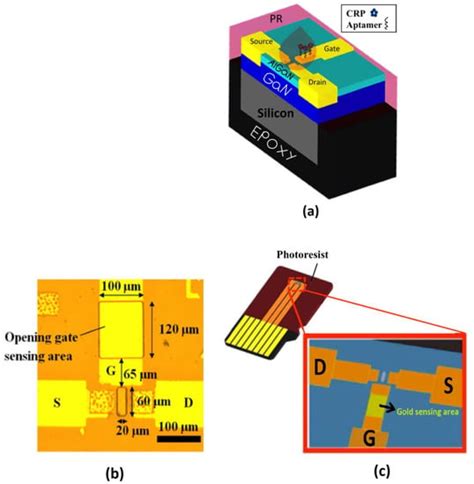Advancement and Challenges of Biosensing Using Field Effect Transistors
