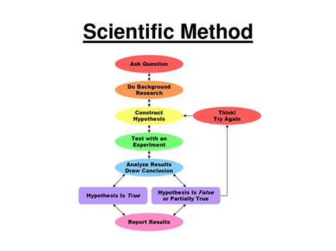 Image result for Scientific Method Experiment