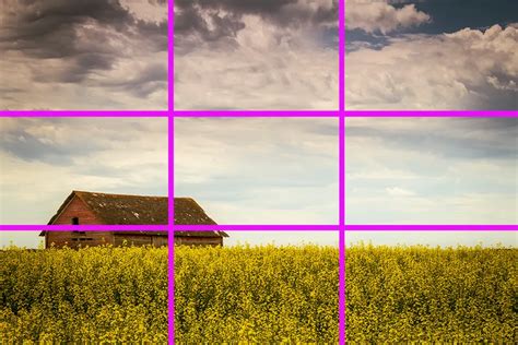 Image result for Photography Composition