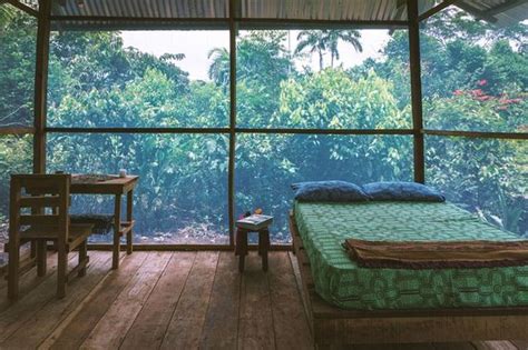 La luna del amazonas - Iquitos | Tripadvisor