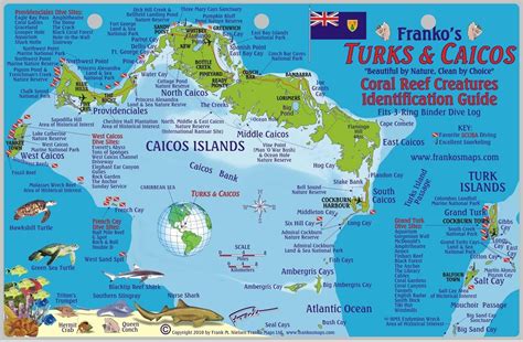 Buy Turks & Caicos Dive & Reef Creatures Guide Franko s Laminated Fish ...