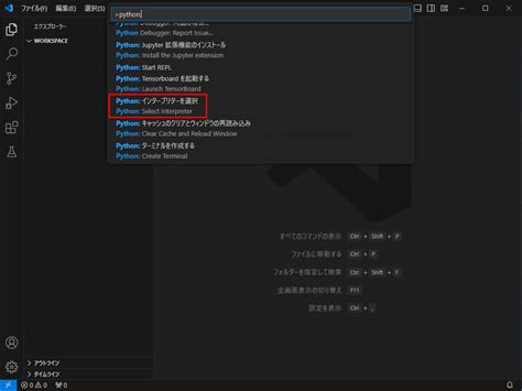 Image result for Vscode Python.pythonpath 見つからない