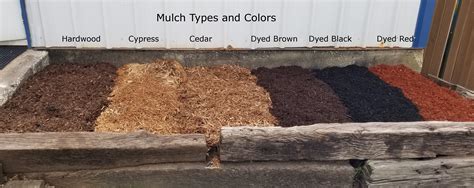 Image result for How to Color Mulch