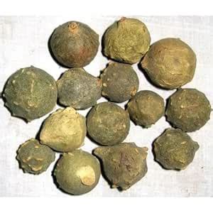 Buy Allherbs Masikai 100 Gms | Bluejack | Mashikkay | Majuphal ...