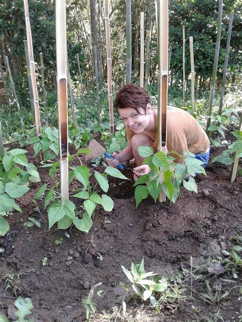 NEWTAU DRUM HOME (Samoeng) - Lodge Reviews & Photos - Tripadvisor