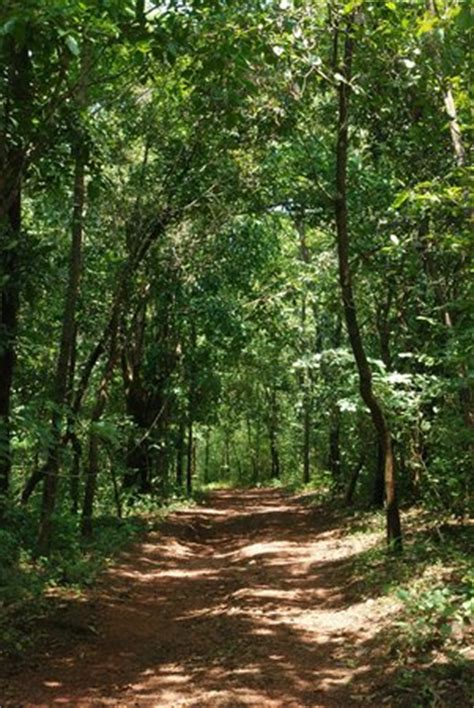 Kareem's Forest Park (Kasaragod) - 2020 What to Know Before You Go ...