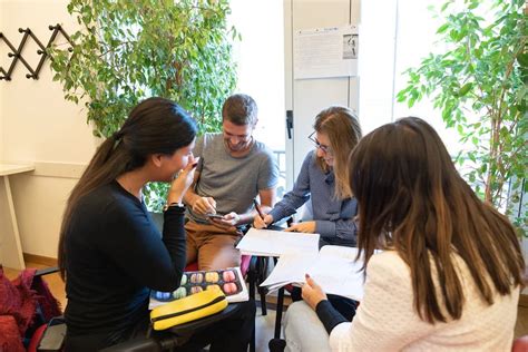 Image result for Italian Learning Course