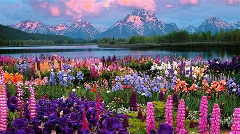 Image result for Springtime Wallpapers for PC