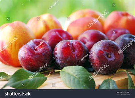 Peach And Plum at Walter Reece blog