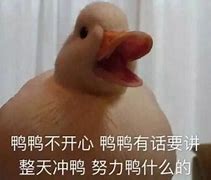Image result for 不必 don't need to