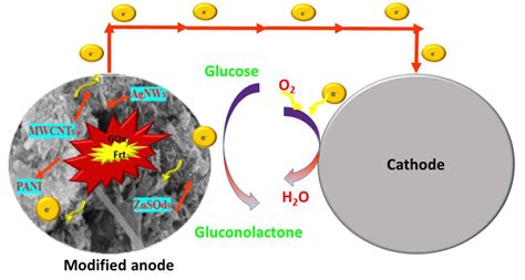 ZnS Quantum Dots Decorated on One-Dimensional Scaffold of MWCNT/PANI ...