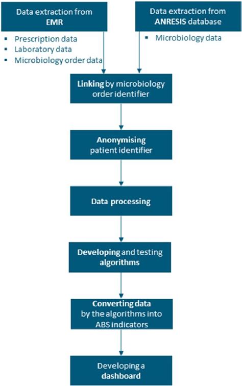 Image result for Data Processing Steps in Research