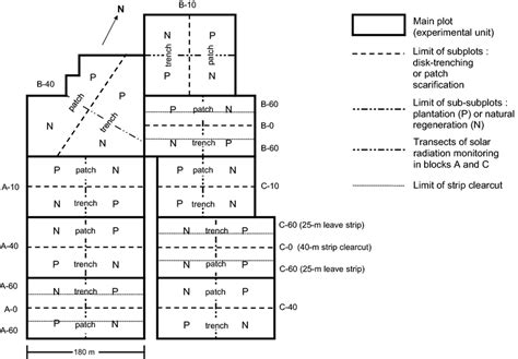 Image result for Split Split-Plot Design