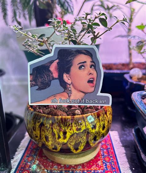 Riley Reid Meme Sticker (vinyl and 100% Waterproof) - Etsy