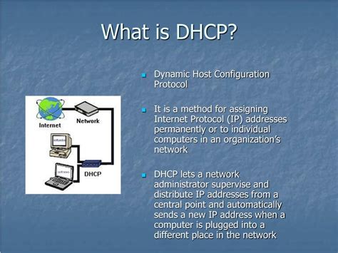 Dynamic Host Configuration Protocol 的图像结果