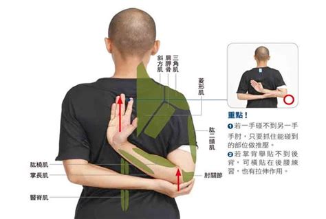 【站姿肩推】強化上肢的必練動作│健人訓練｜2018ep21