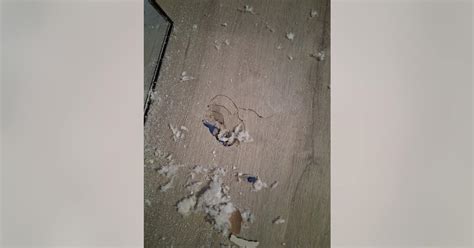 Suspected meteorite crashes into Houston woman's home amid citywide ...