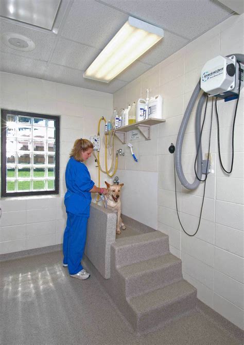 Grady Animal Hospital Ny