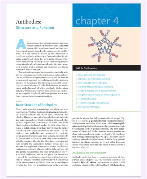 Structure of Antibodies - 1 - Antibodies: Structure and Function A ...