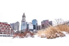 Image result for Random Sampling Examples in Real Life