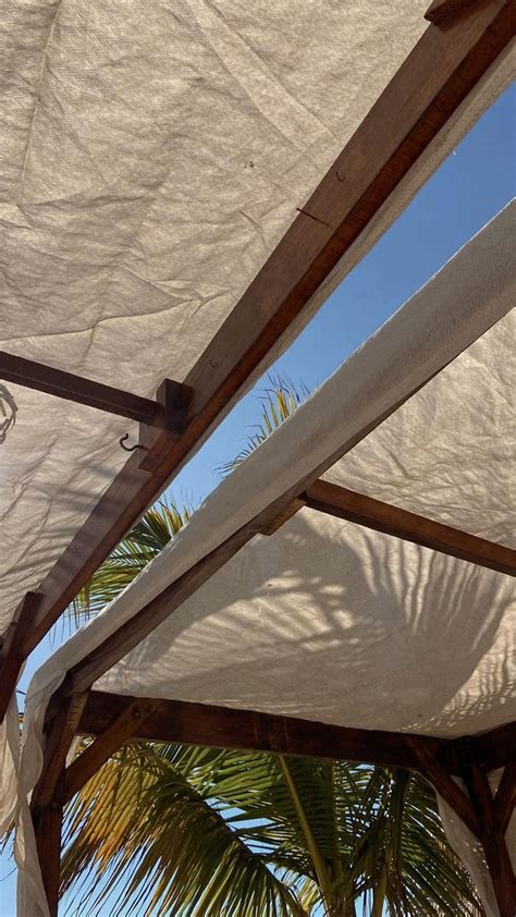 Cabo Spring Contest Strip 的图像结果