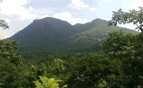 ATLAS of Medicinal Plants In Gandhamardan