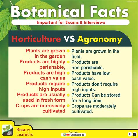 Horticulture vs. Agronomy: What's the Difference?