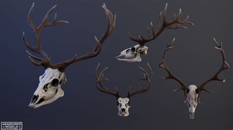 Deer Skull 3D model - TurboSquid 2176597