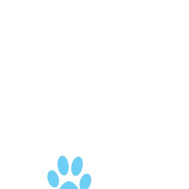 Fabby Furever | For Love - For Pets - Forever. – FabbyFurever