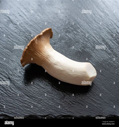 How To Cook King Trumpet Mushrooms at Mark Jennings blog